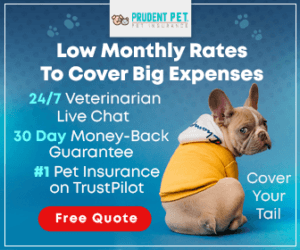 prudent pet insurance offer
