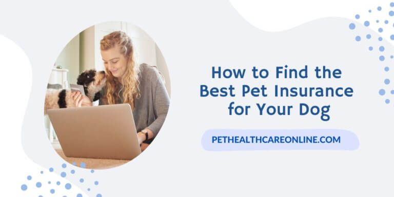 How To Find The Best Pet Insurance for Your Dog