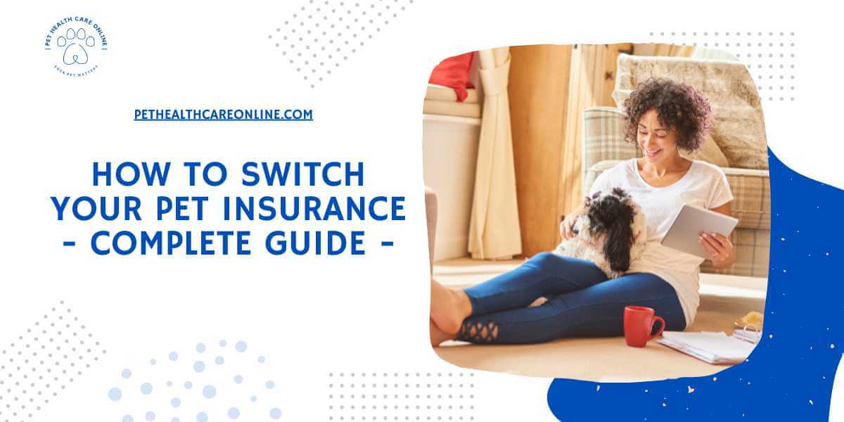 The Best Guide To Switch Pet Insurance