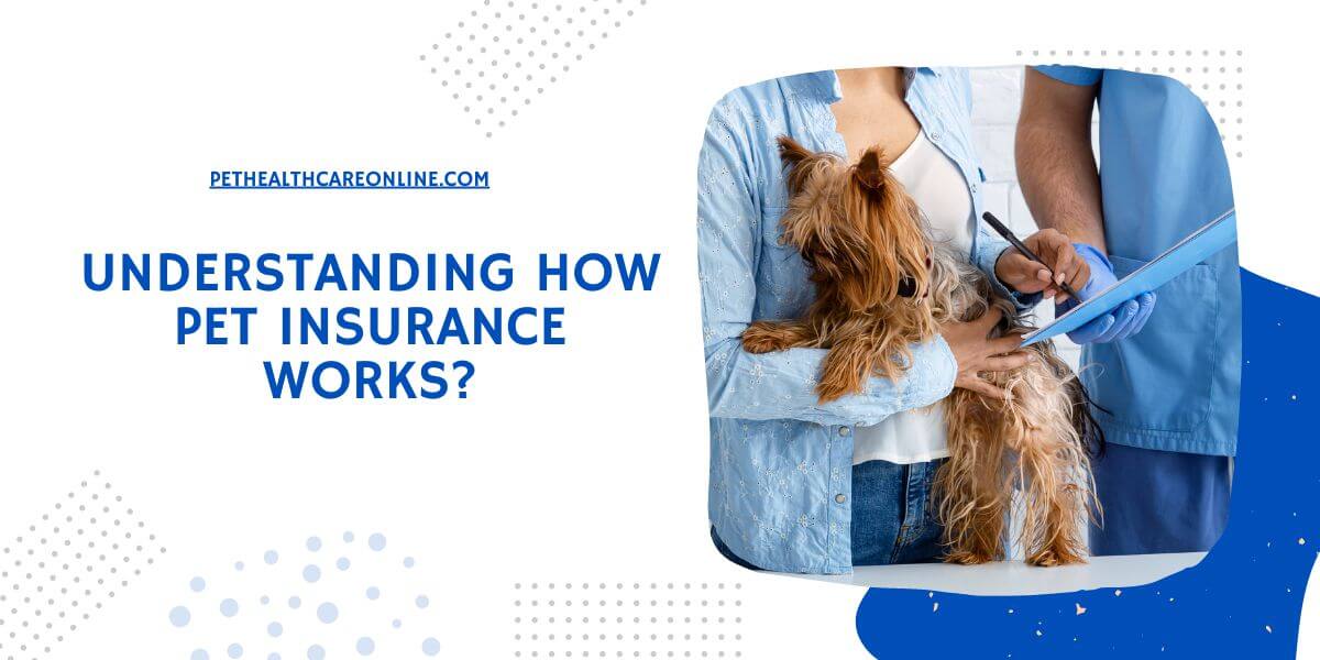 Understanding How Pet Insurance Work