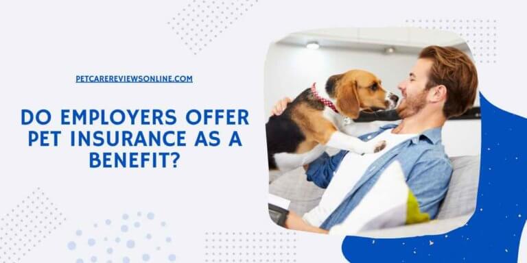 Do Employers Offer Pet Insurance as a Benefit