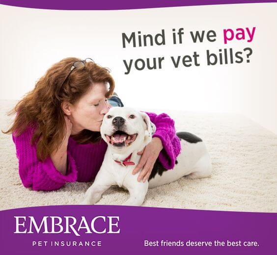 Embrace Pet Health Insurance Review