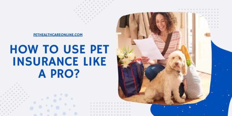 How to Use Pet Insurance Like a Pro