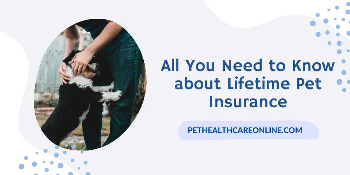 Lifetime Pet Insurance - All You Need To Know