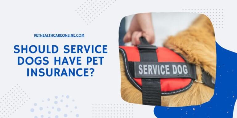 Should Service Dogs Have Pet Insurance