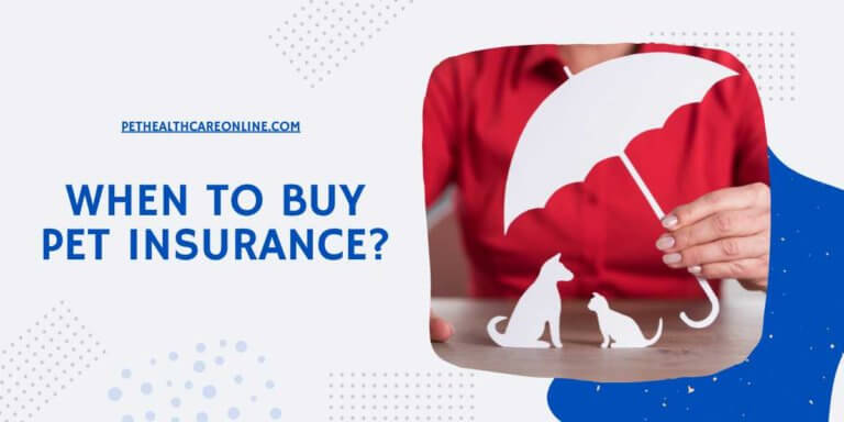 When to Buy Pet Insurance
