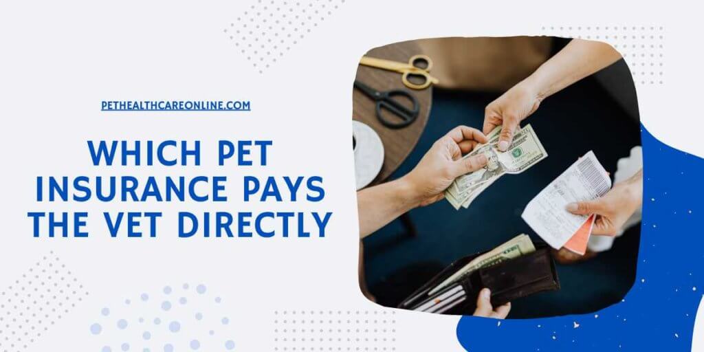 Which Pet Insurance Pays the Vet Directly