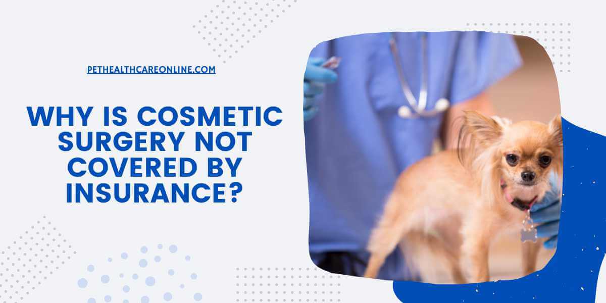 Why Is Cosmetic Surgery Not Covered by Pet Insurance