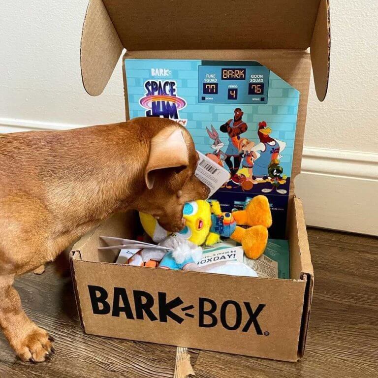 BarkBox Review