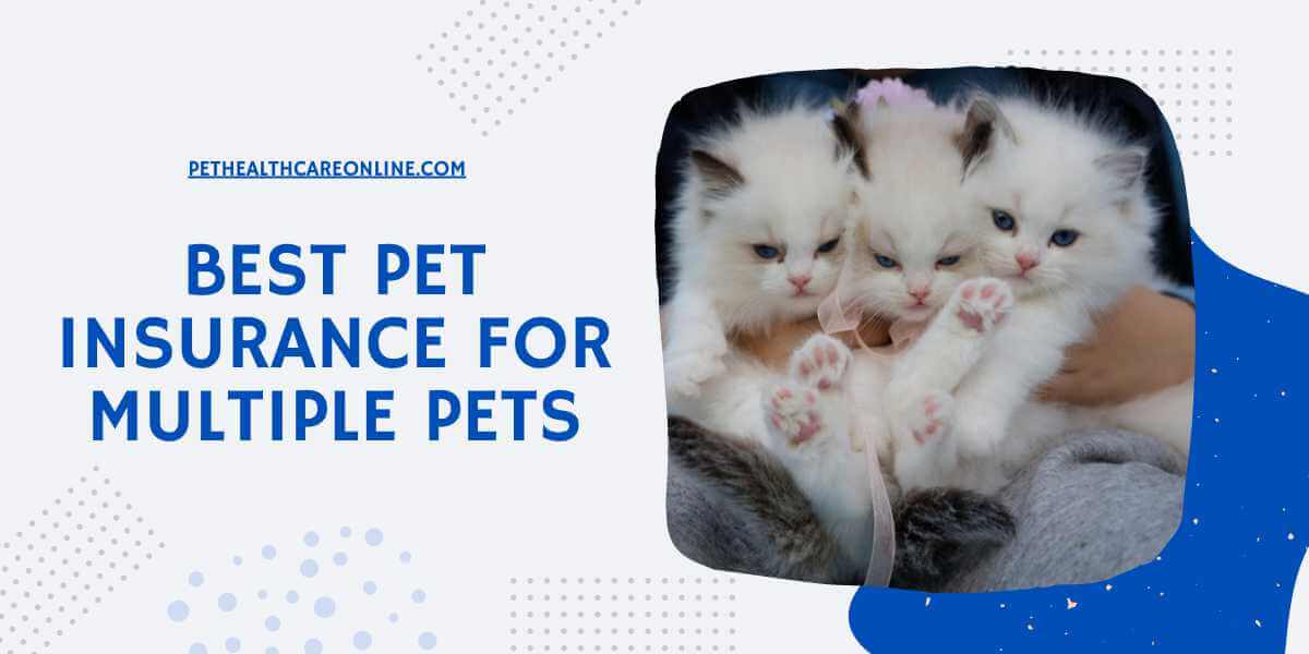 Best Pet Insurance for Multiple Pets