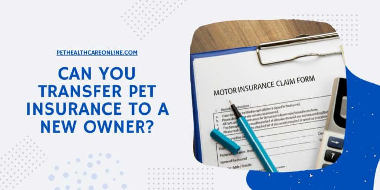 Can you Transfer Pet Insurance to a New Owner