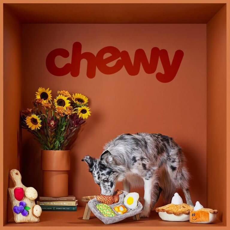 Chewy Review