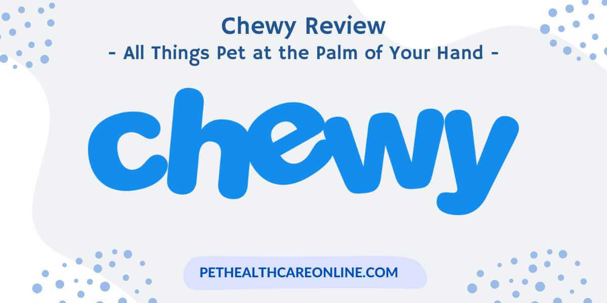 Chewy Review