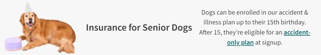 insurance for senior dogs