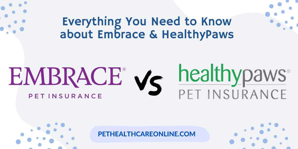 Embrace vs Healthy Paws Pet Insurance