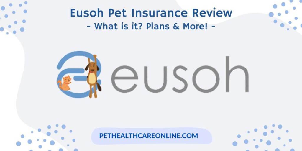 Eusoh Pet Insurance Review