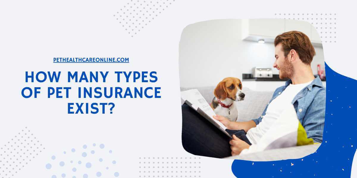How Many Types of Pet Insurance Exist