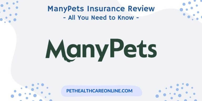 ManyPets Review