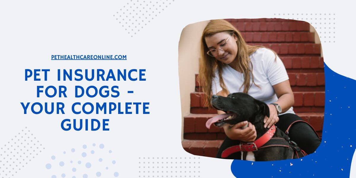Pet Insurance for Dogs