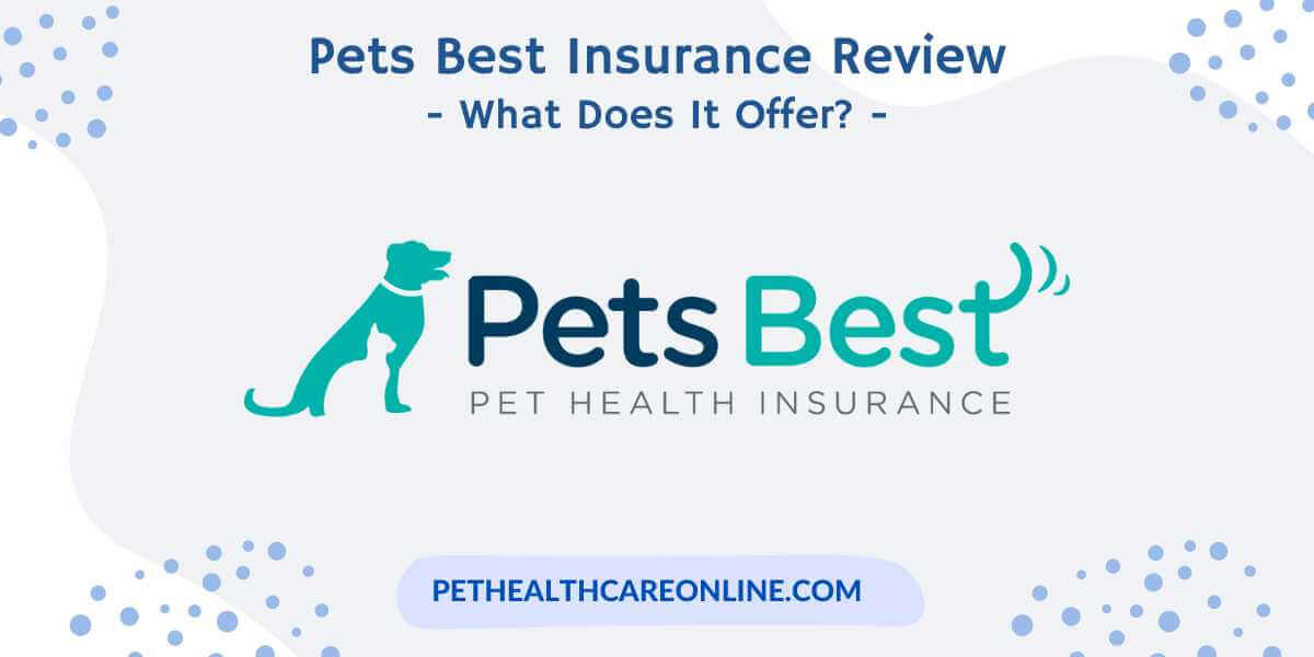 Pets Best Insurance Review