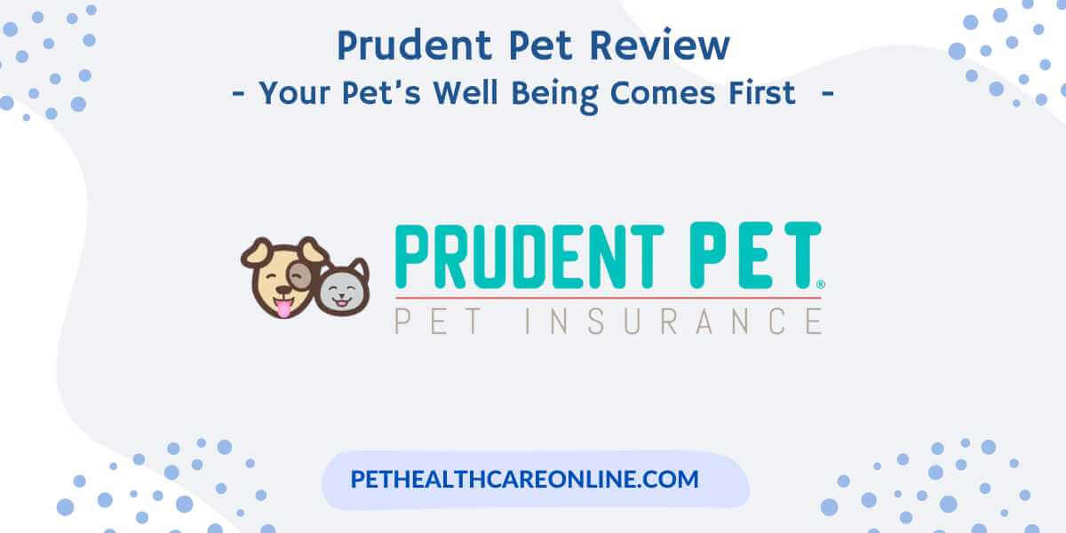 Prudent Pet Insurance Review