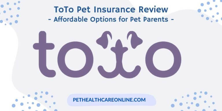 Toto Pet Insurance Review