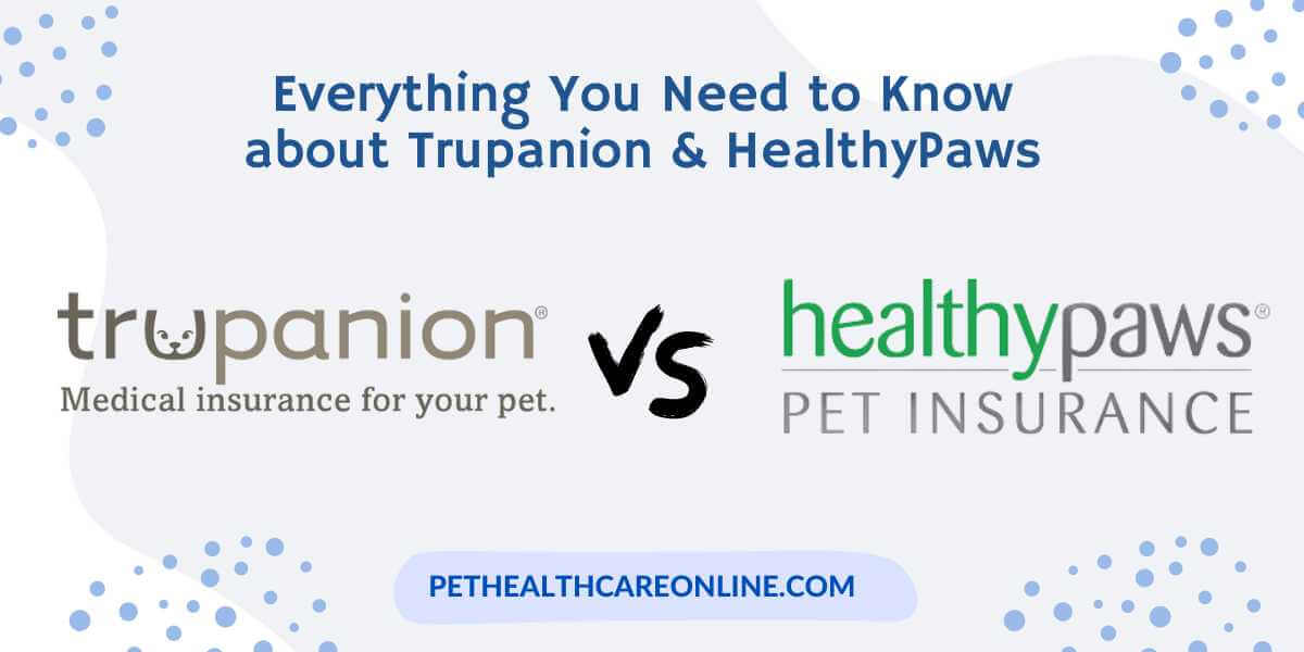 Trupanion vs Healthy Paws Pet Insurance