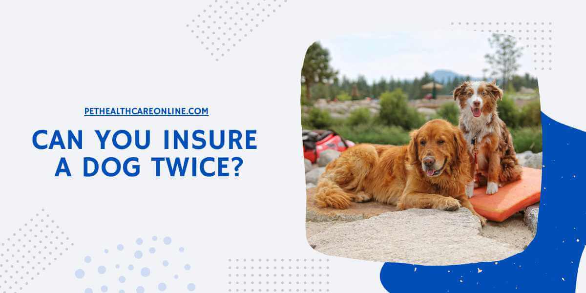 Can You Insure a Dog Twice