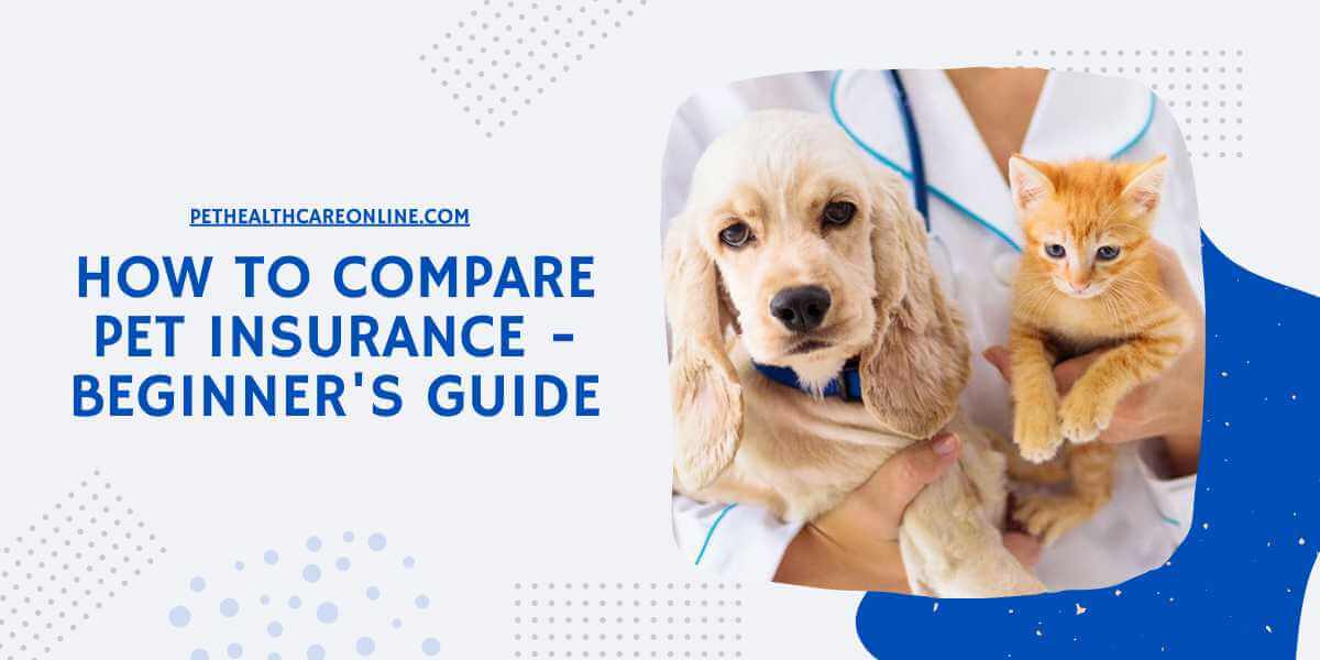How To Compare Pet Insurance