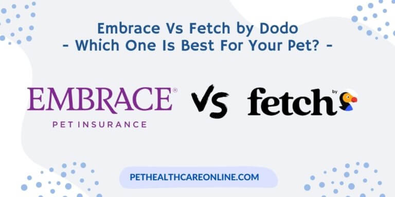 Embrace vs Fetch by Dodo