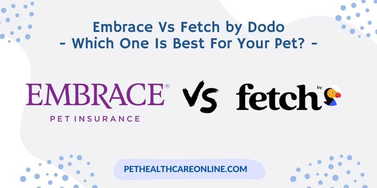 Embrace vs Fetch by Dodo