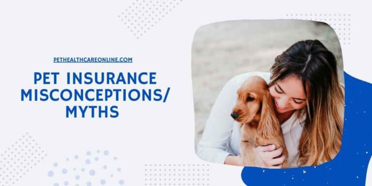 Pet Insurance Misconceptions