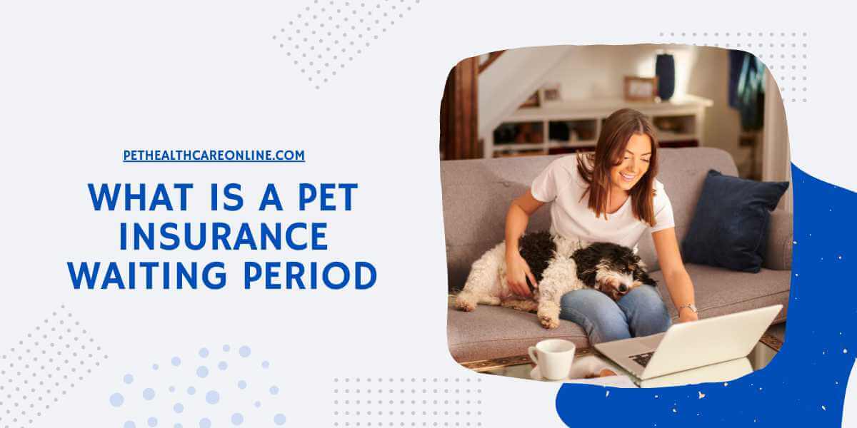 Pet Insurance Waiting Period