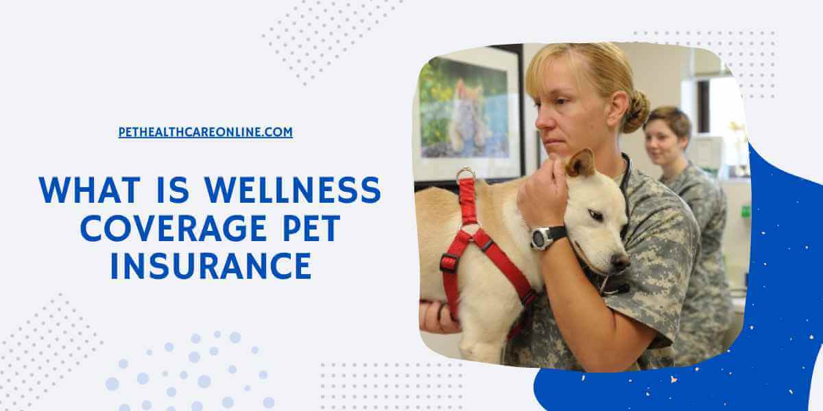Wellness Coverage Pet Insurance