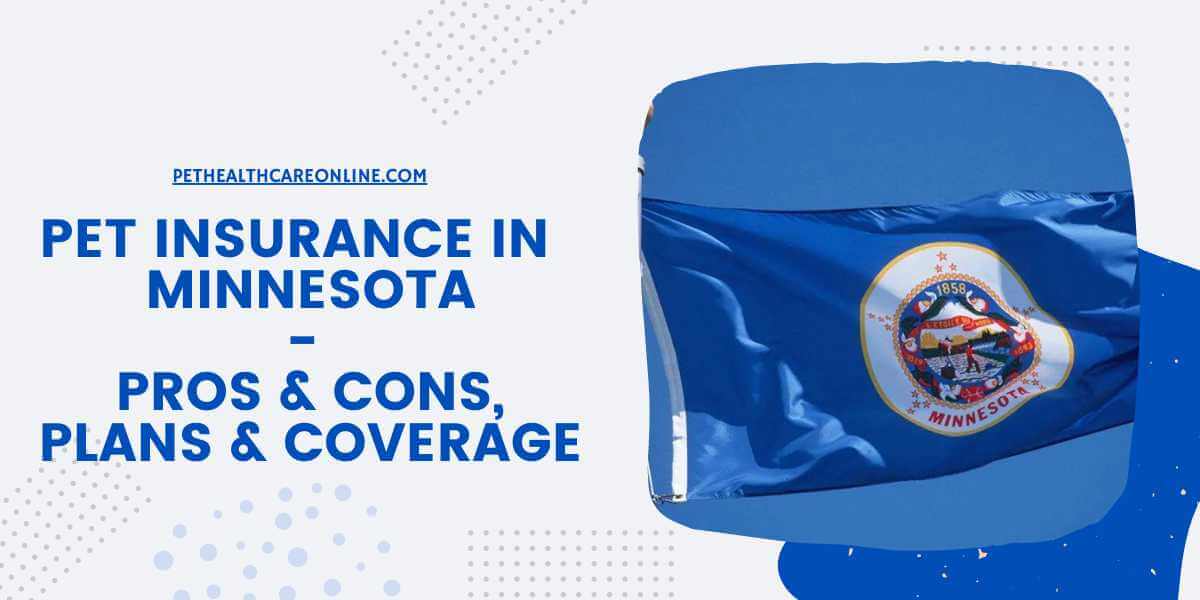 Pet Insurance in Minnesota