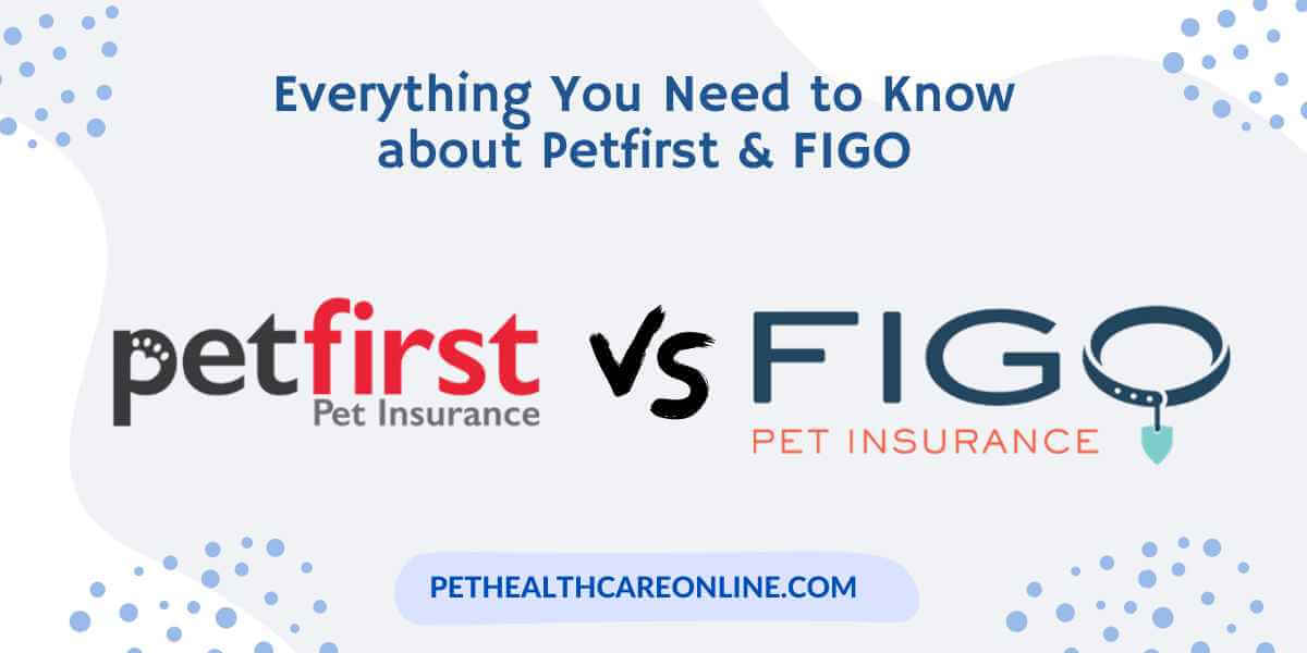 PetFirst vs Figo