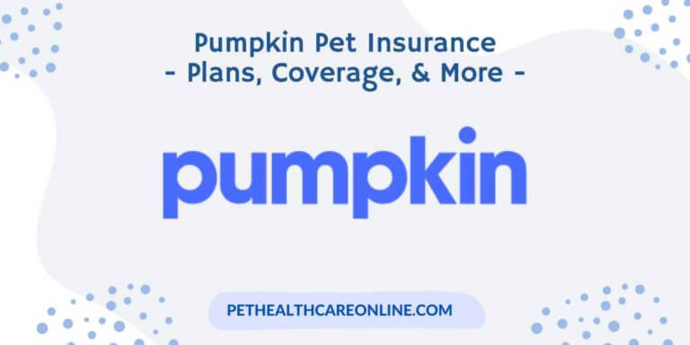 Pumpkin Pet Insurance Review