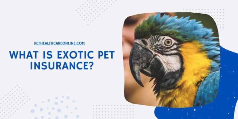 What is Exotic Pet Insurance