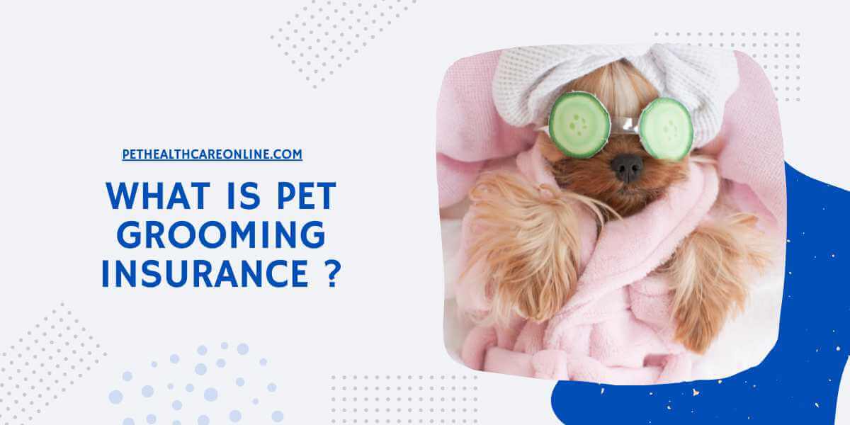 What is Pet Grooming Insurance