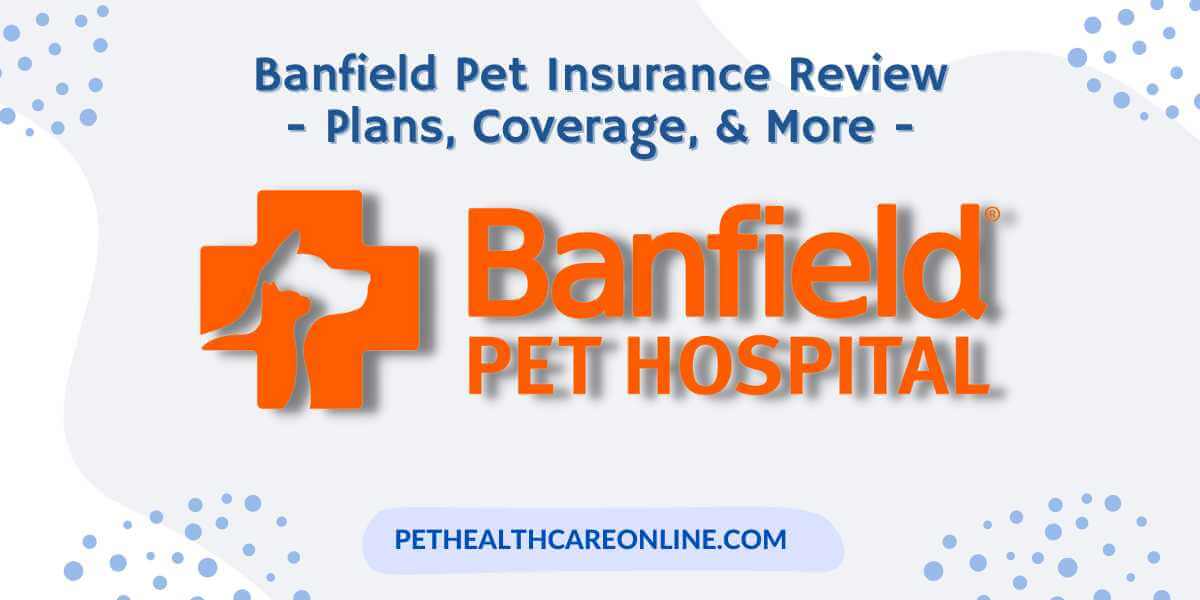 Banfield Pet Insurance Review