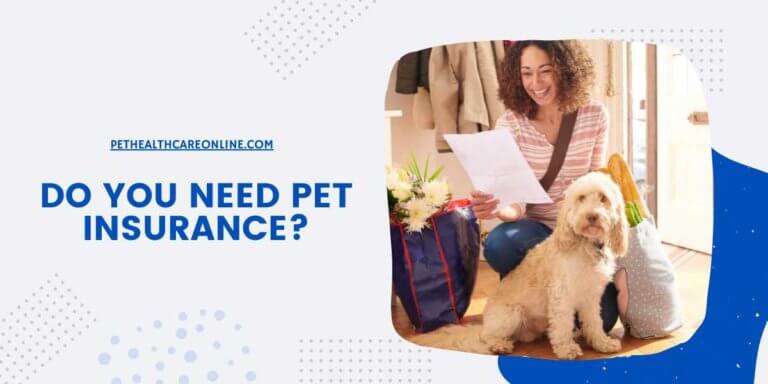 Do You Need Pet Insurance