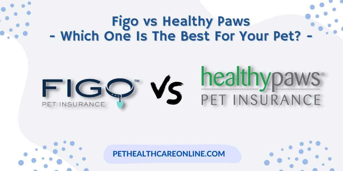 Figo vs Healthy Paws