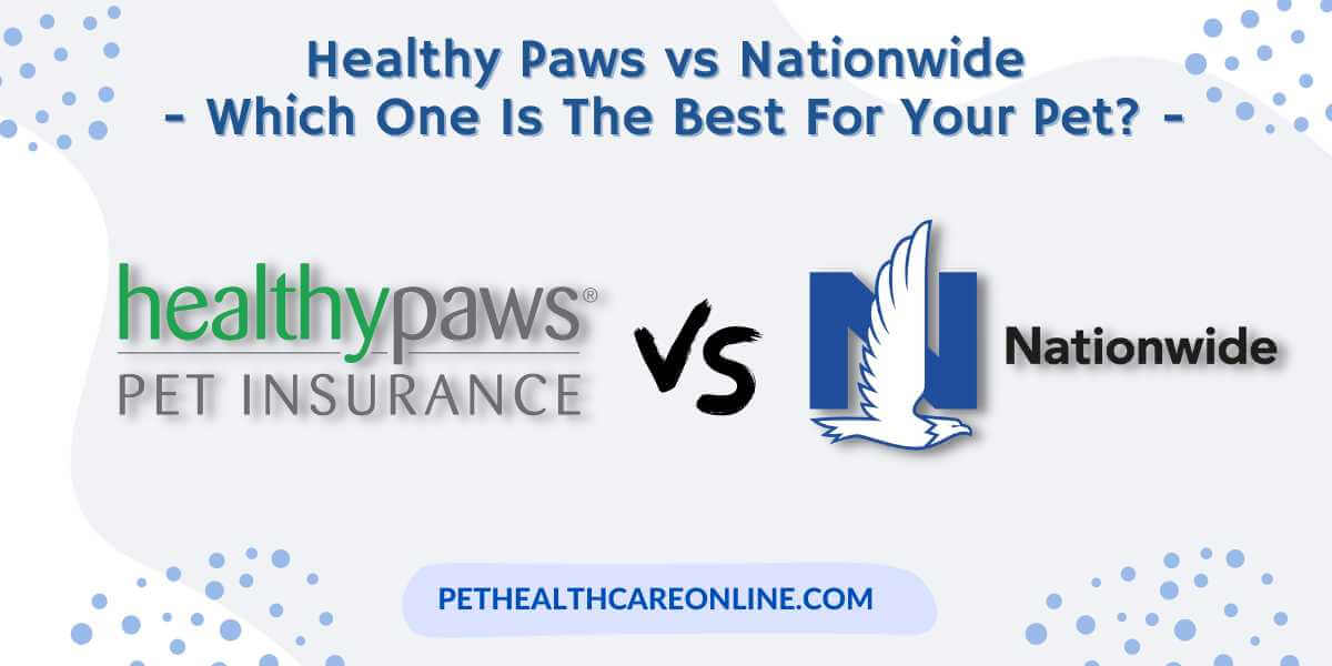 Healthy Paws vs Nationwide Pet Insurance