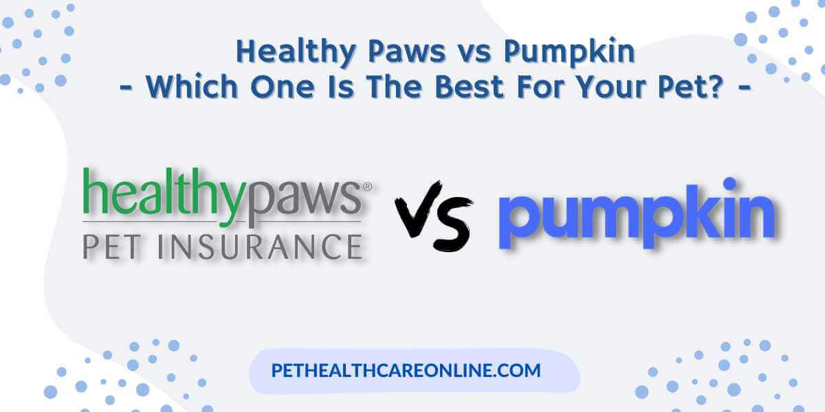 Healthy Paws vs Pumpkin Pet Insurance