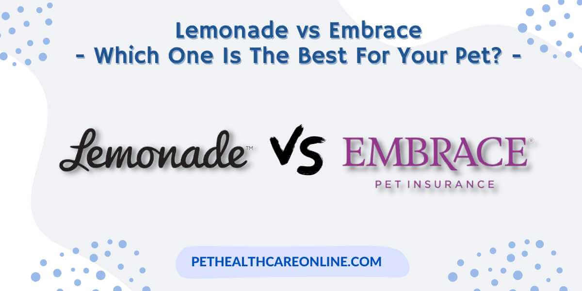 Lemonade vs Embrace Pet Insurance