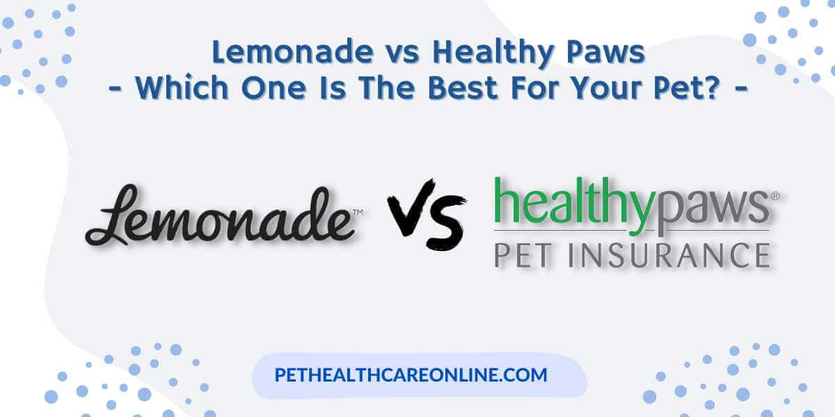 Lemonade vs Healthy Paws