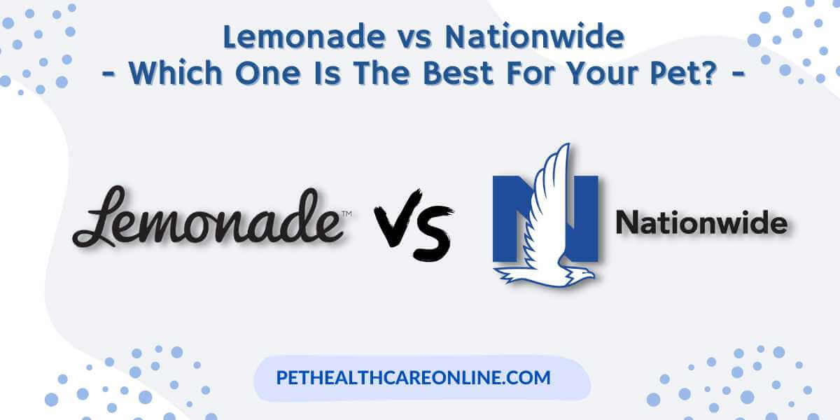 Lemonade vs Nationwide Pet Insurance