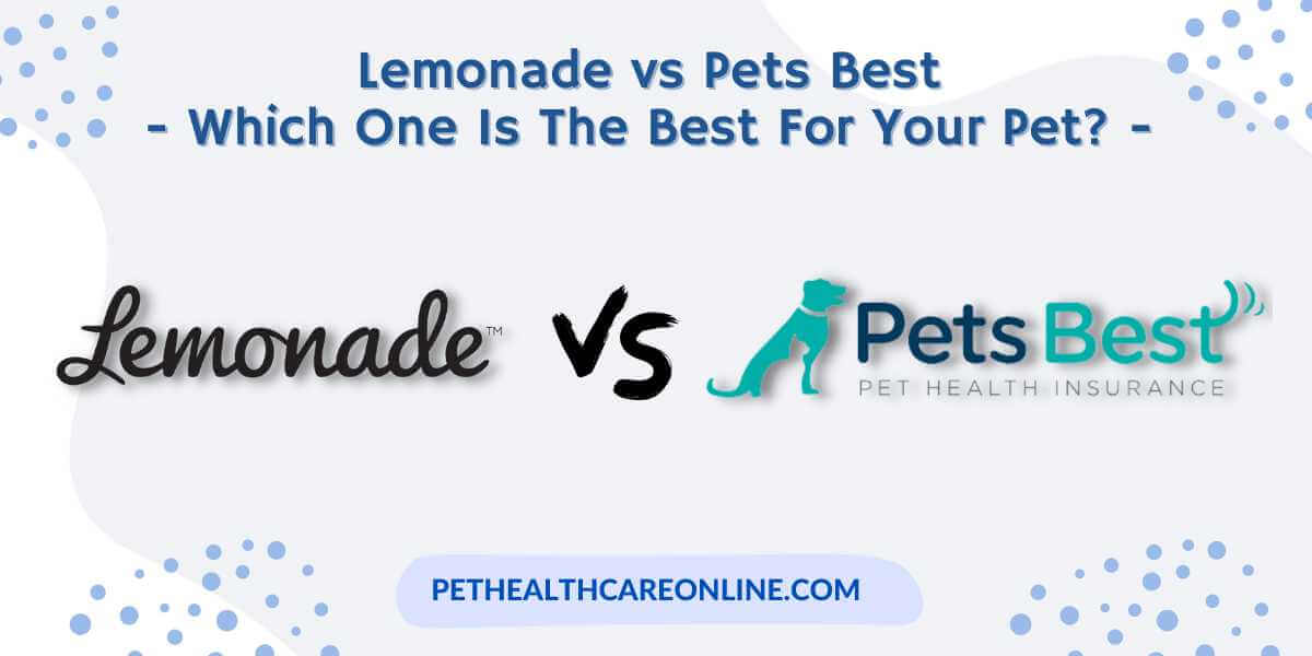 Lemonade vs Pets Best