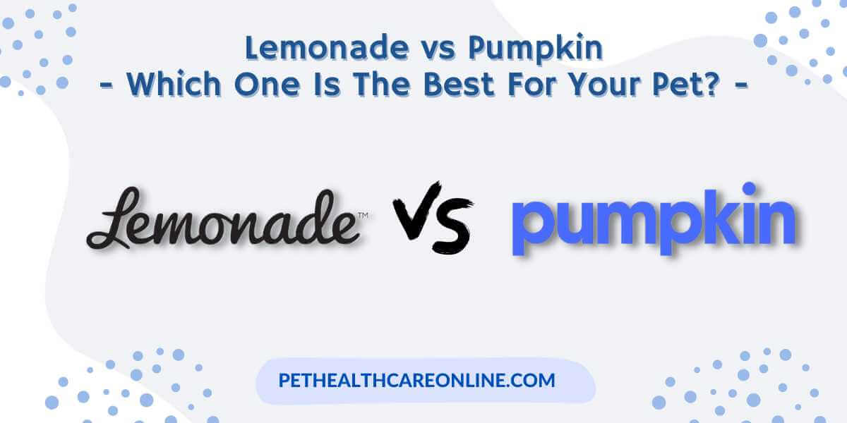 Lemonade vs Pumpkin