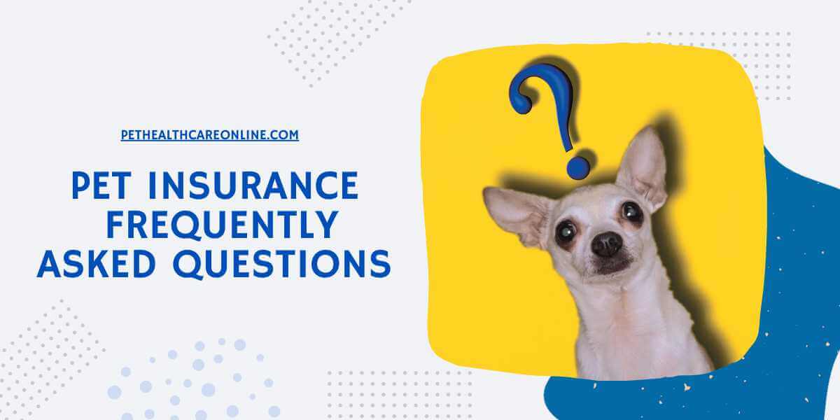 Pet Insurance Frequently Asked Questions